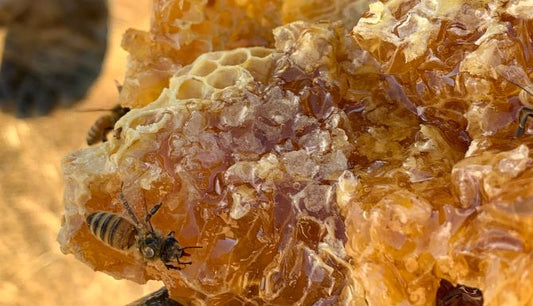 What makes Manuka honey special?